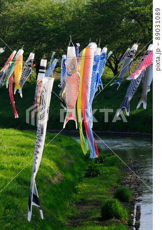 川の上に並ぶこいのぼり 89031089