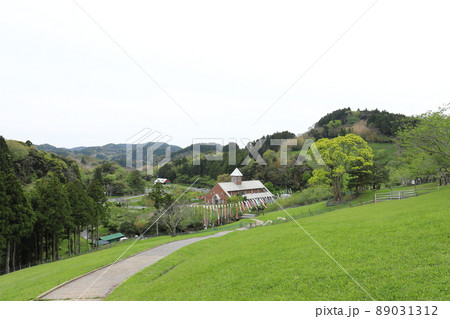 千葉　南房総　千葉県酪農のさと　放牧されるヤギ 89031312