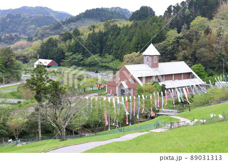 千葉　南房総　千葉県酪農のさと　放牧されるヤギ 89031313
