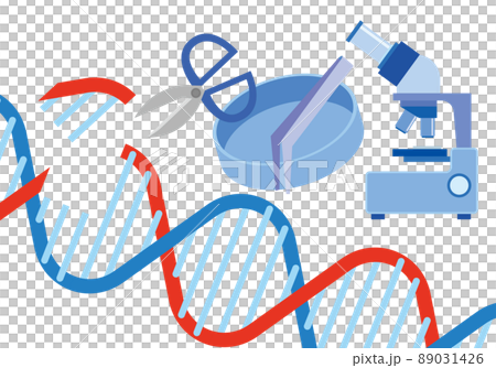 Image of genetic research 89031426
