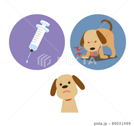 狂犬病予防接種のイメージ 89031499