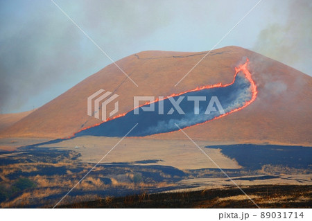 阿蘇の野焼き 89031714