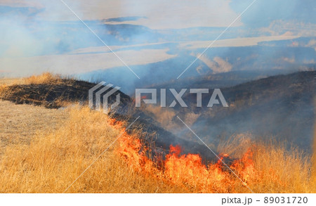 阿蘇の野焼き 89031720