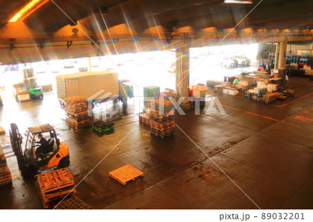 小田原の漁港の陽射し射し込む市場 小田原の漁港の陽射し射し込む市場 89032201