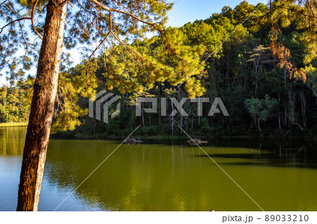 Pang Oung national park, lake and forest of pine trees in Mae Hong Son, Thailand 89033210