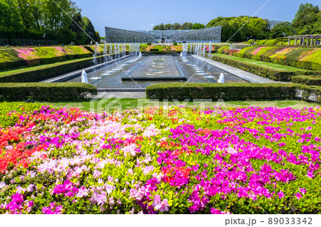 噴水広場 89033342