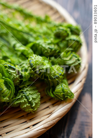 天然 こごみ 天然 こごみ 89033601