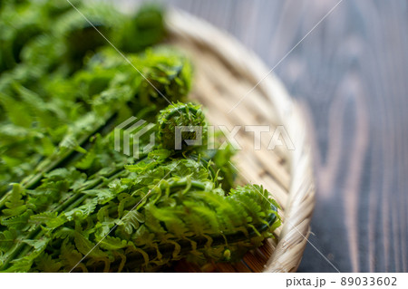 天然 こごみ 天然 こごみ 89033602