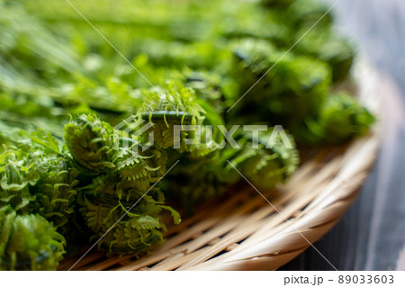 天然　こごみ 89033603