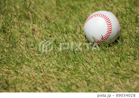 野球ボール 89034028