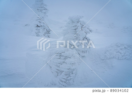 冬 雪 樹氷 霧氷(宮城蔵王) 冬 雪 樹氷 霧氷(宮城蔵王) 89034102