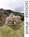 桜 89034292