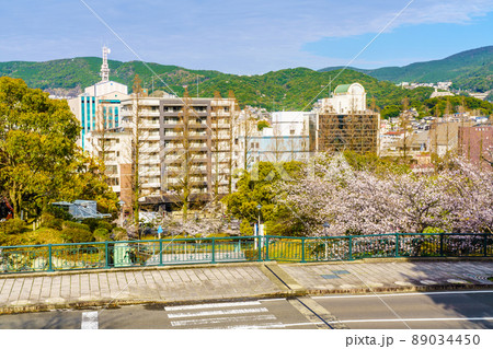 爆心地公園の桜 【長崎県長崎市】 爆心地公園の桜 【長崎県長崎市】 89034450