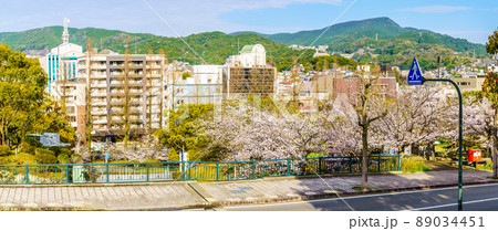 爆心地公園の桜 パノラマ 【長崎県長崎市】 爆心地公園の桜 パノラマ 【長崎県長崎市】 89034451