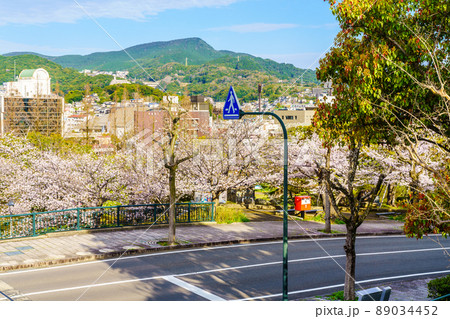 爆心地公園の桜　【長崎県長崎市】 89034452