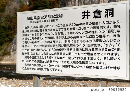 風光明媚な景勝地「秋の井倉峡」 風光明媚な景勝地「秋の井倉峡」 89036922