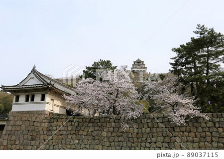 丸亀城 丸亀城 89037115