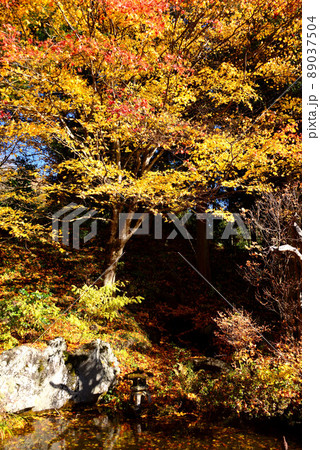 山梨 景徳院の紅葉 山梨 景徳院の紅葉 89037504