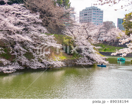 千鳥ヶ淵の桜風景　春イメージ 89038194
