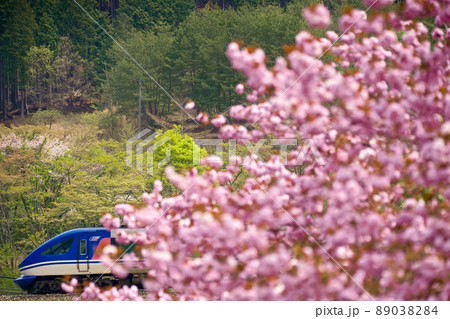 里山を駆ける 89038284