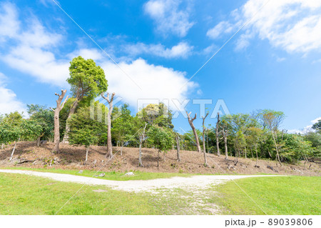 《福岡》水城跡 福岡県大野城市下大利3-7-25(中央エリア・水城大堤・水城土塁断面広場) 《福岡》水城跡 福岡県大野城市下大利3-7-25(中央エリア・水城大堤・水城土塁断面広場) 89039806