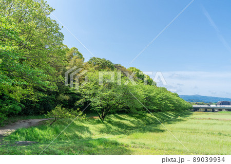 《福岡》水城跡 福岡県太宰府市国分2-17（東門エリア・水城館・水城跡展望台） 89039934
