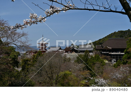清水寺 清水寺 89040480