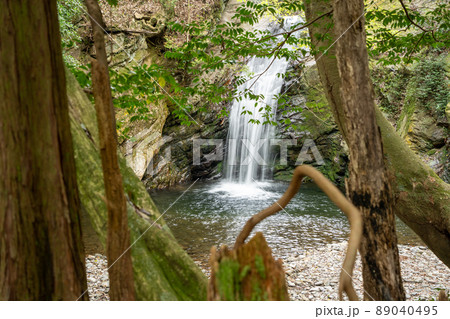 【愛知県】　くらがり渓谷 89040495