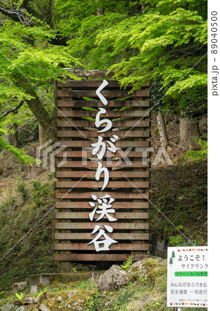 【愛知県】　くらがり渓谷 89040500