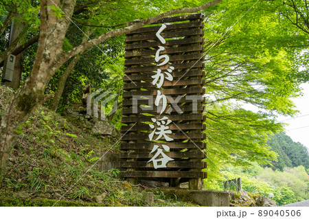 【愛知県】　くらがり渓谷 89040506