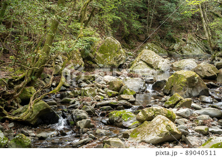【愛知県】　くらがり渓谷 89040511