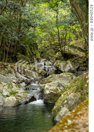 【愛知県】　くらがり渓谷 89040529