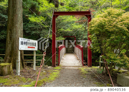 【愛知県】 くらがり渓谷 【愛知県】 くらがり渓谷 89040536