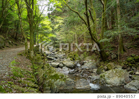 【愛知県】　くらがり渓谷 89040557