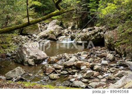 【愛知県】　くらがり渓谷 89040568