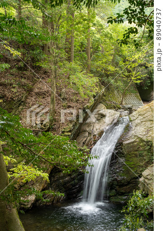 【愛知県】　くらがり渓谷 89040737
