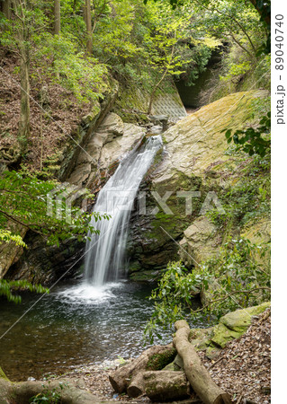 【愛知県】　くらがり渓谷 89040740