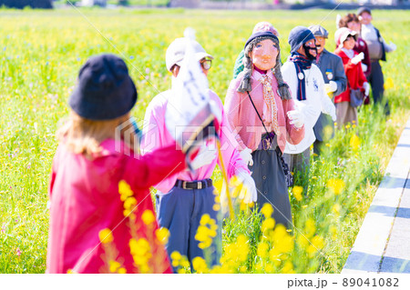 田んぼをつかった花畑 89041082
