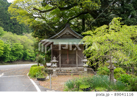 【愛知県】　くらがり渓谷　布瀧不動尊 89041116