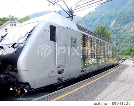 ノルウェー ネーロイフィヨルド フロム鉄道 ノルウェー ネーロイフィヨルド フロム鉄道 89041220