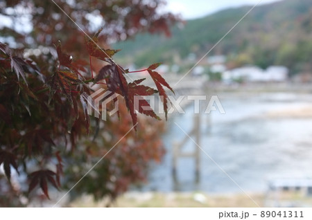 京都 嵐山 渡月橋と紅葉 京都 嵐山 渡月橋と紅葉 89041311