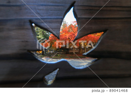 紅葉の雷山千如寺大悲王院 89041468