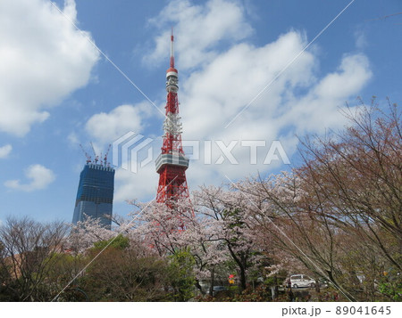 芝公園から見える東京タワー 芝公園から見える東京タワー 89041645