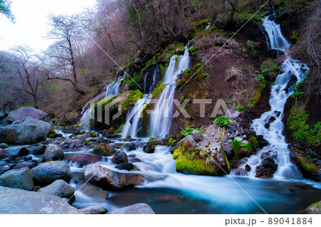 【名瀑】春の吐竜の滝　スローシャッター【山梨県】 89041884