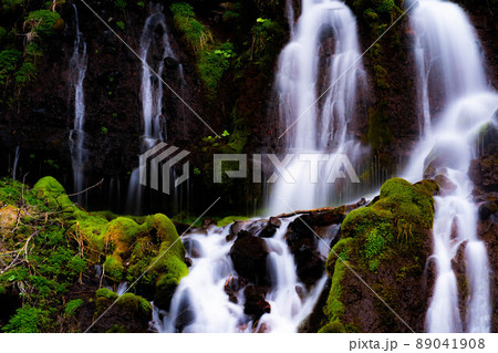【名瀑】春の吐竜の滝　スローシャッター【山梨県】 89041908