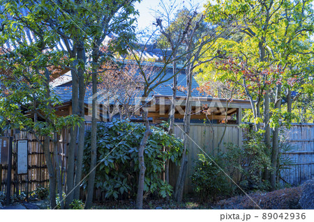 東京都港区の増上寺(旧広書院) 東京都港区の増上寺(旧広書院) 89042936