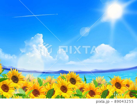 雲のある青空に飛行機雲ー太陽の下美しいひまわりが咲く海沿いの初夏フレーム背景素材 89043255