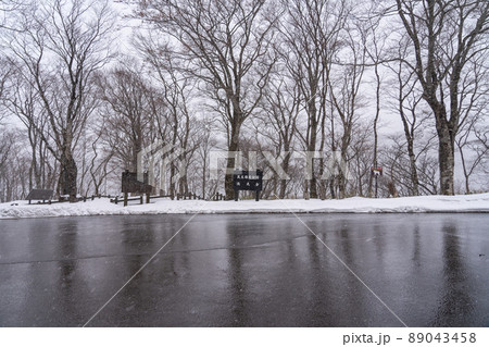 蔵王国定公園　滝見台　冬の雪景色（宮城県蔵王町） 89043458
