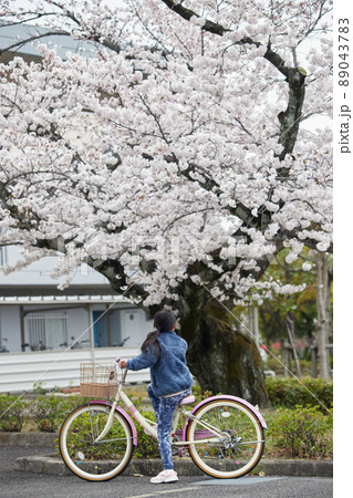 自転車を乗っている子供と春の桜満開の住宅地 89043783