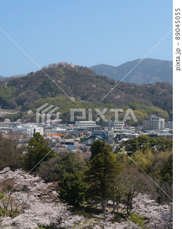 彦根城天秤櫓からの佐和山 89045055